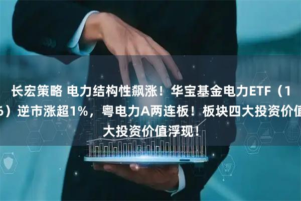 长宏策略 电力结构性飙涨！华宝基金电力ETF（159146）逆市涨超1%，粤电力A两连板！板块四大投资价值浮现！