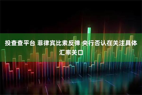 投查查平台 菲律宾比索反弹 央行否认在关注具体汇率关口
